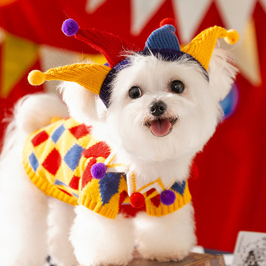 Cute Color Pop Color Pet Sweater