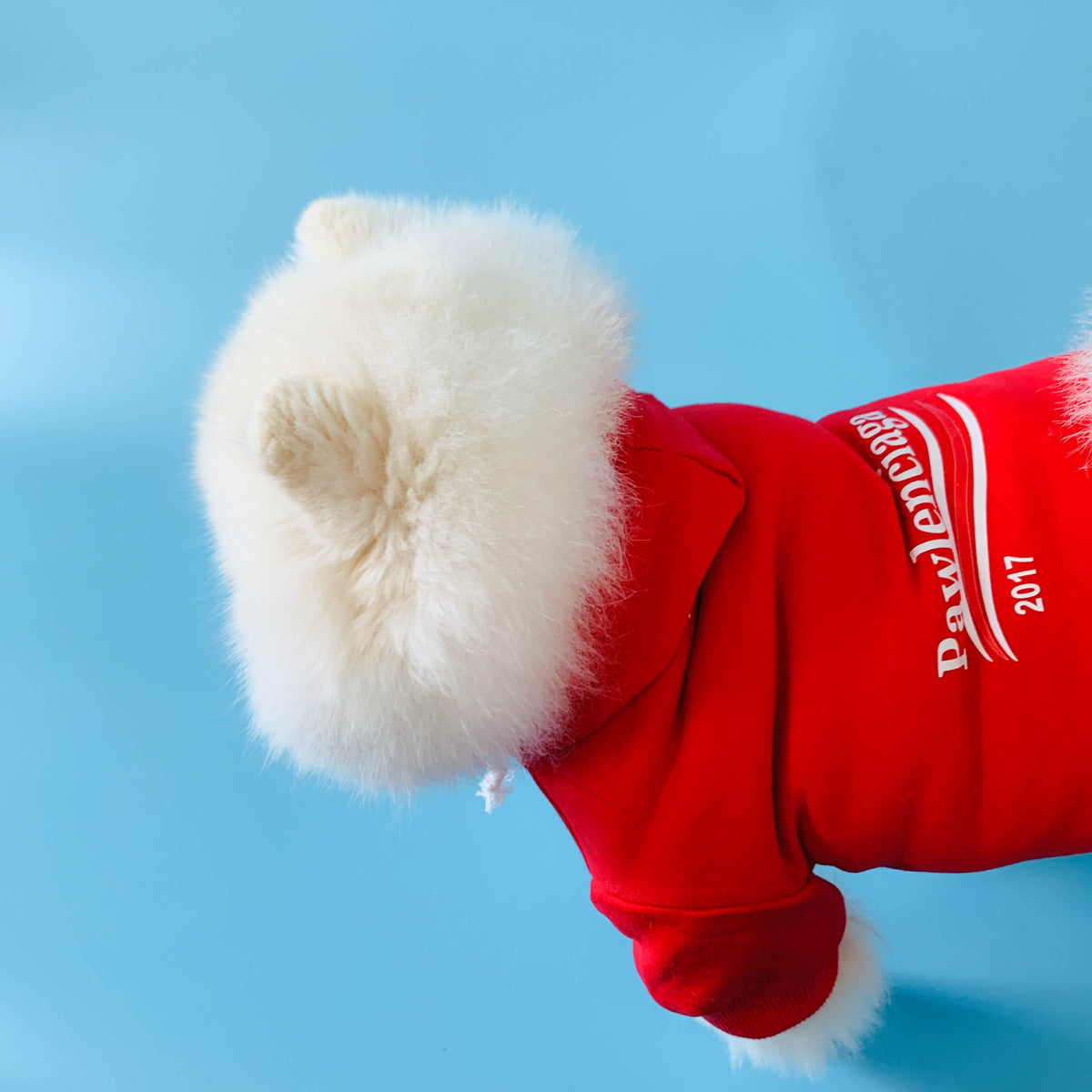 In-Stock | Pawlenciaga | Fashion Pet All-Season Pet Hoodie, Black and Red