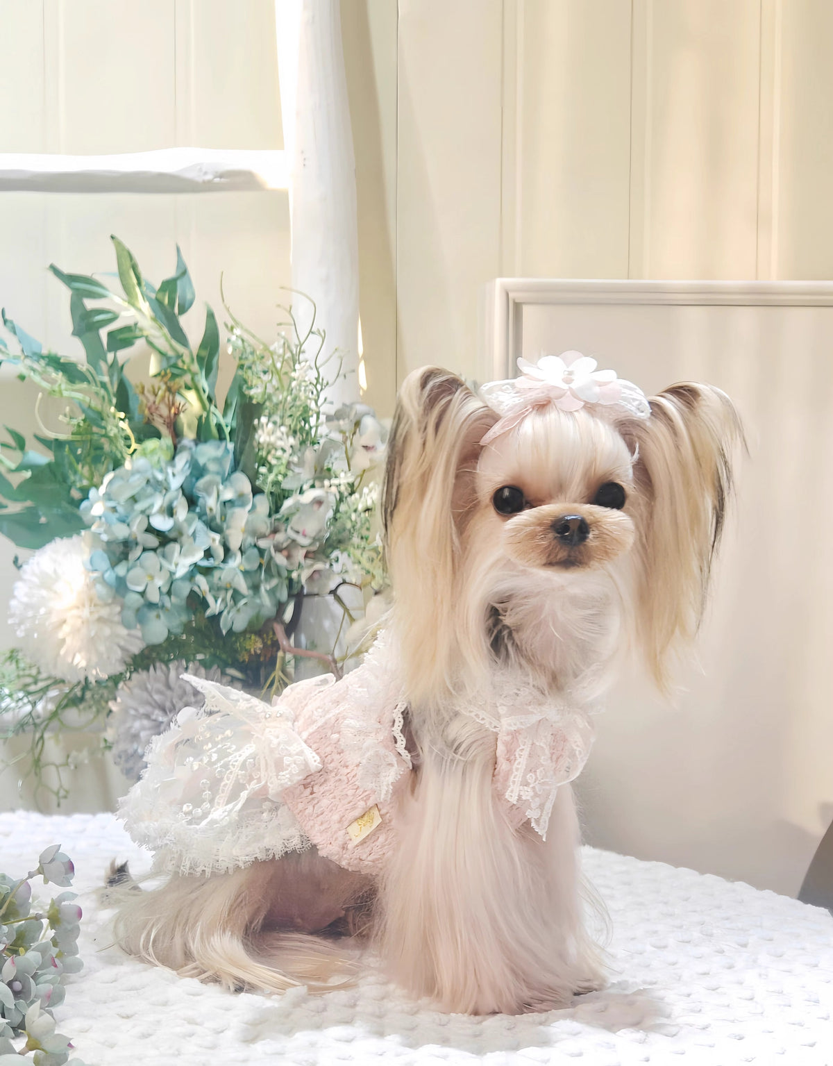 Summer | Lace Princess Style Pet Tutu Dress - Customizable