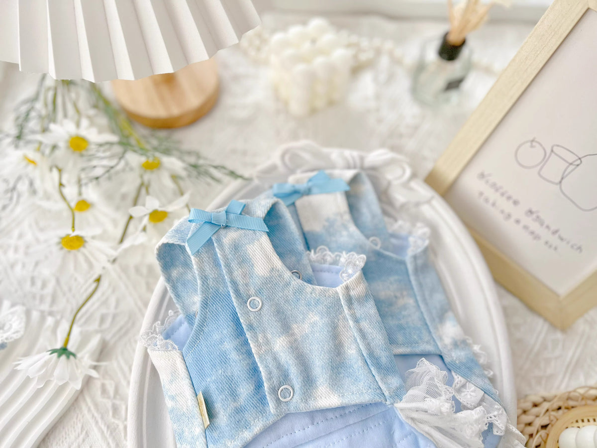 Summer | Light Denim Princess Style Pet Tutu Dress - Customizable