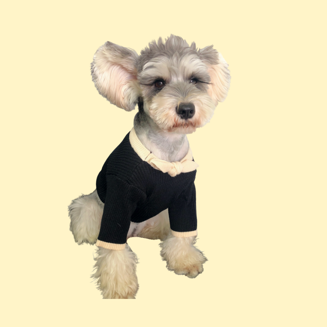 Elegant Pet Sweater with Bow Tie Details on Collar