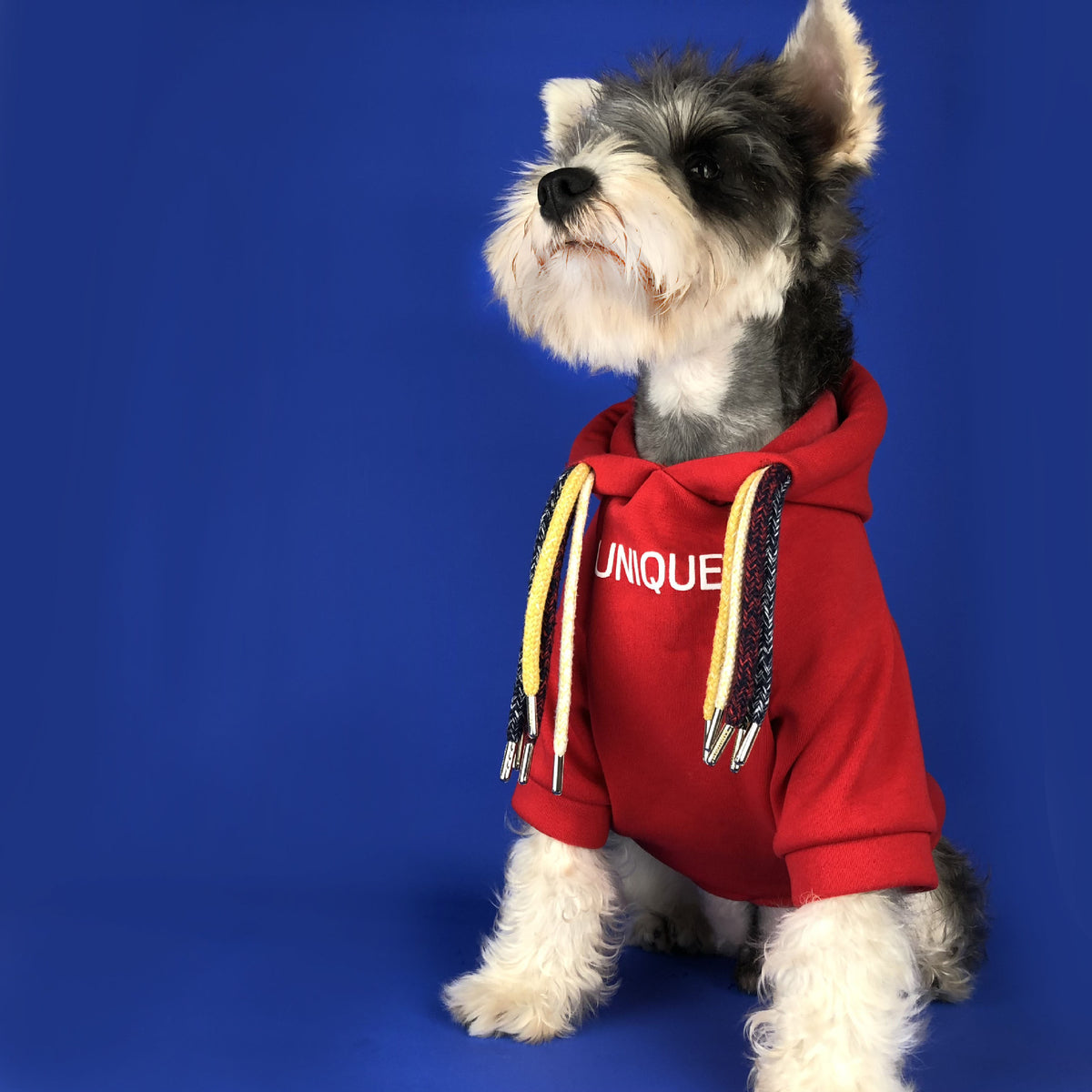 Slogan Lucky Dog Fashion Hoodie