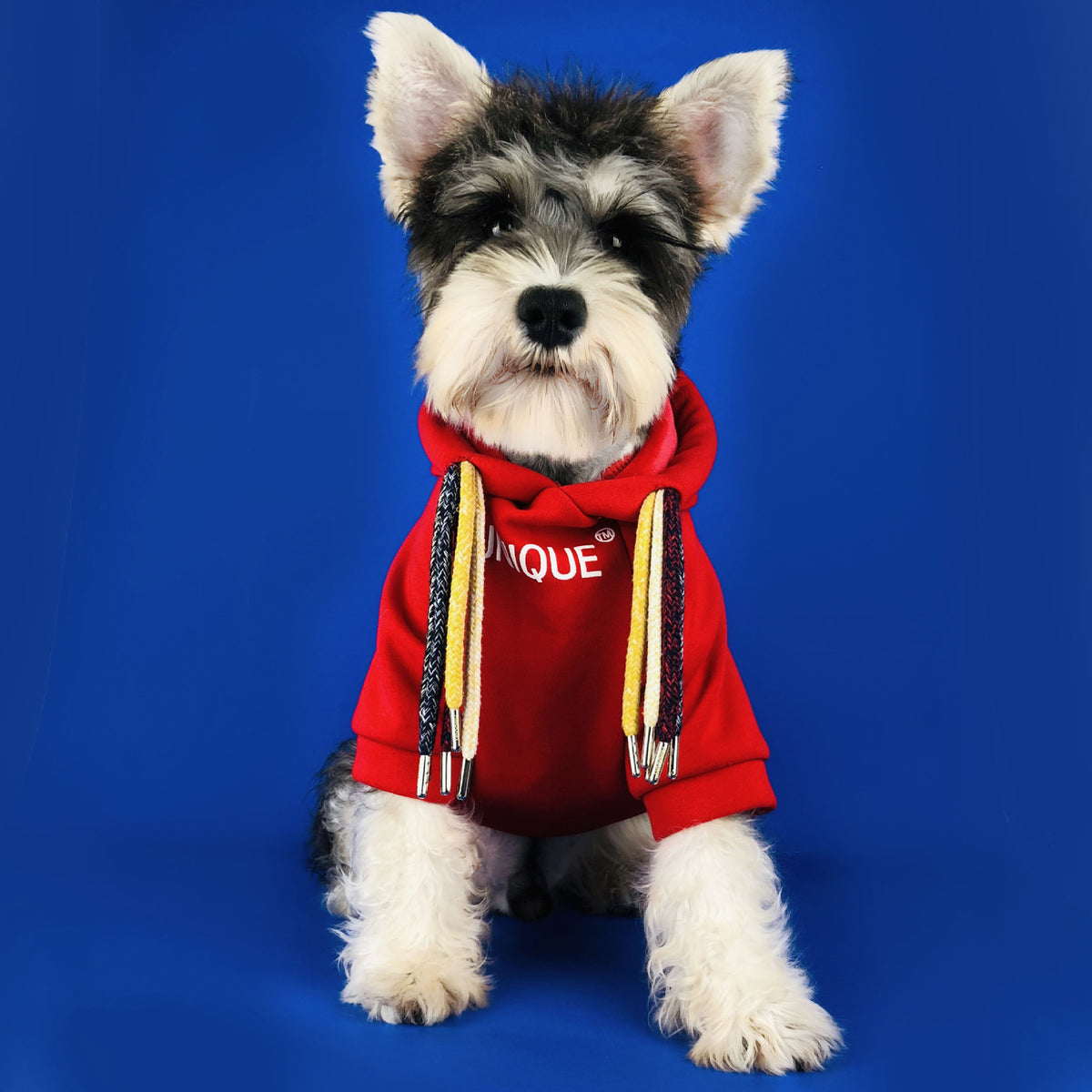 Slogan Lucky Dog Fashion Hoodie