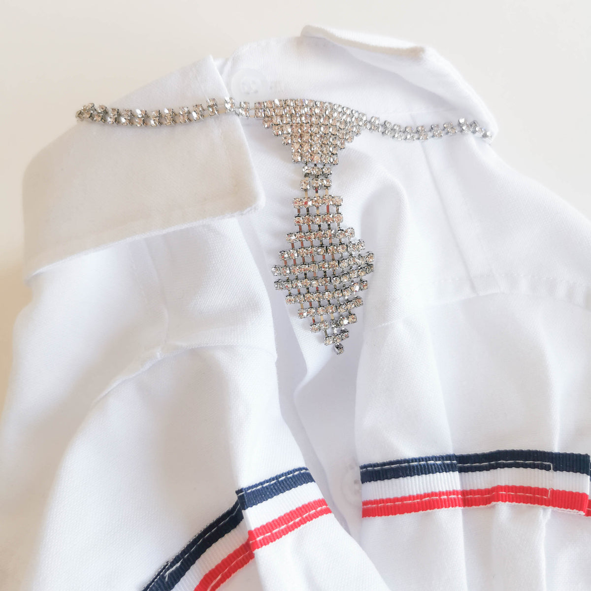 Elegant Rhinestone Pet Necklace & Tie | For Cats and Dogs