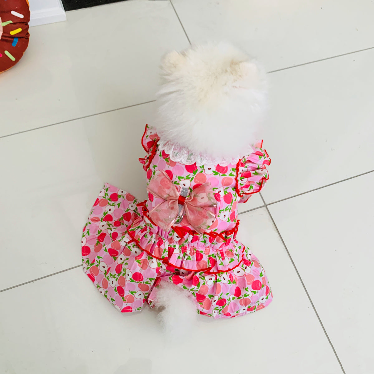 Passion Red Apple Pattern Harness Dress | For Elegant Dogs and Cats