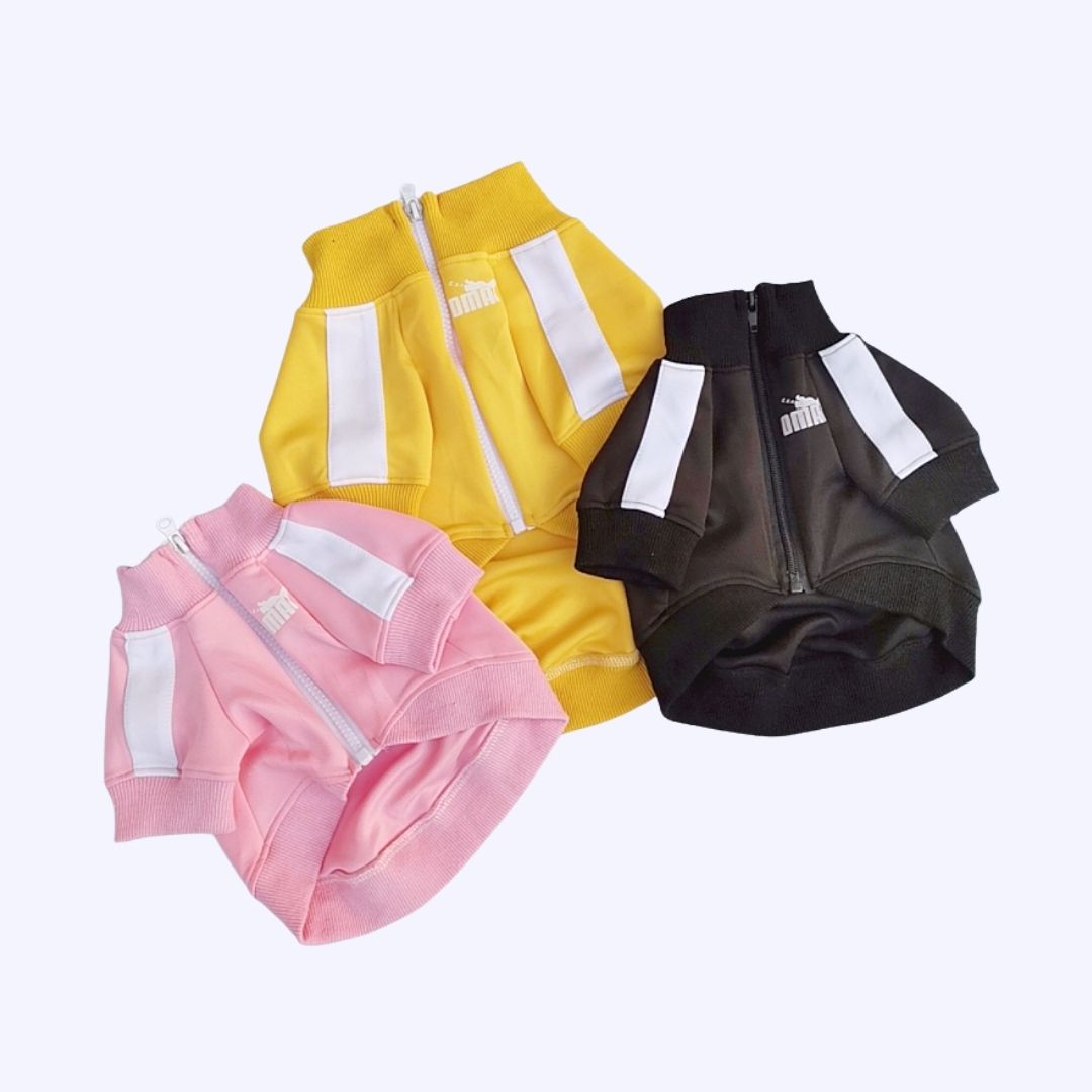 [Last Chance] Funny Pet | Classic Candy Color Tracksuit Pet Hoodie Top