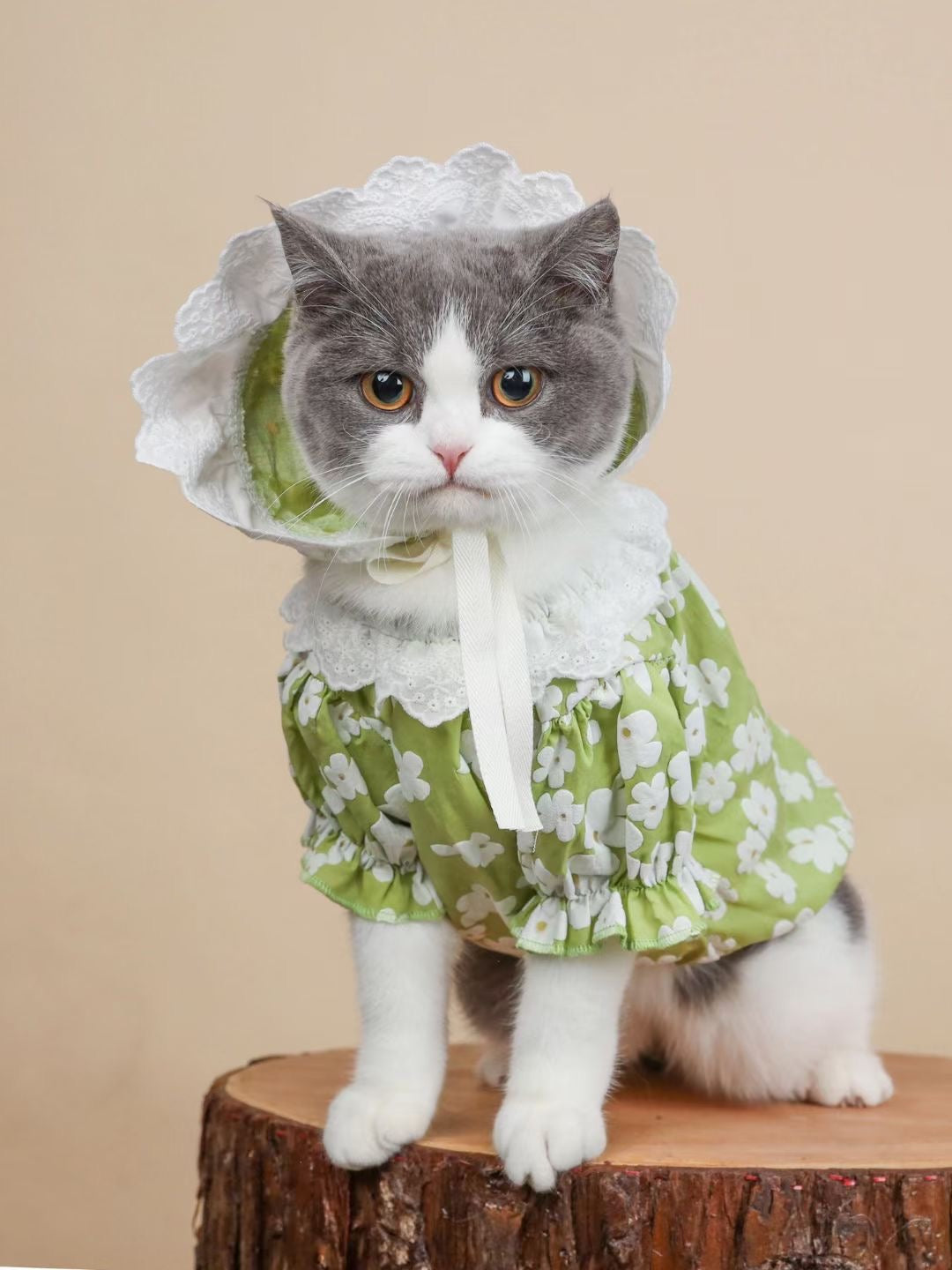 Summer Floral Pet Dress