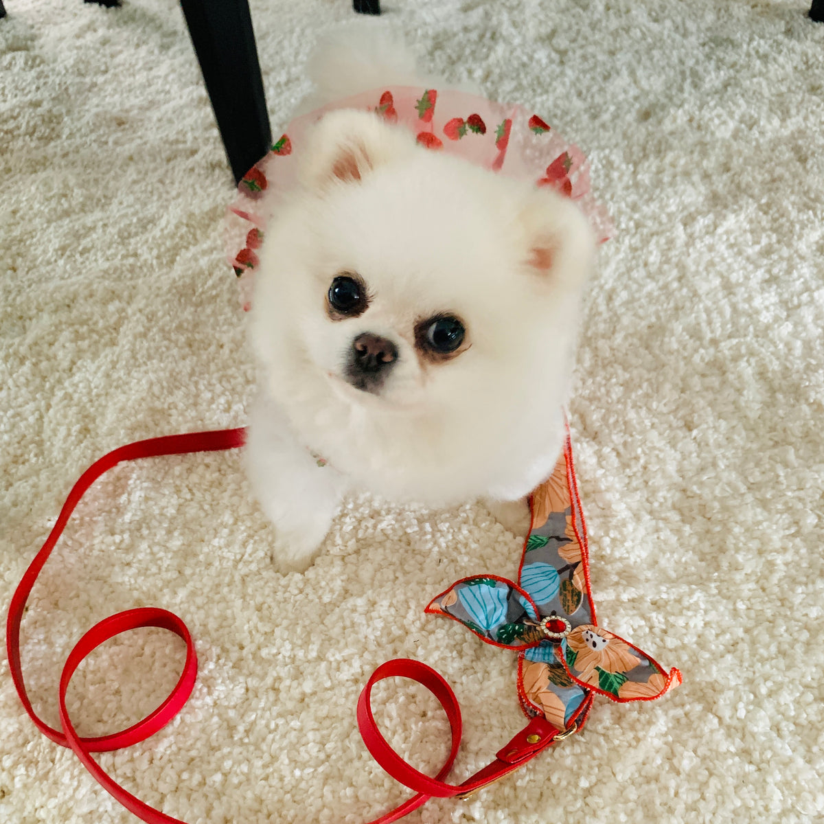 Strawberry Pom Fashion Harness Dress Set| For Elegant Puppy or Kitten