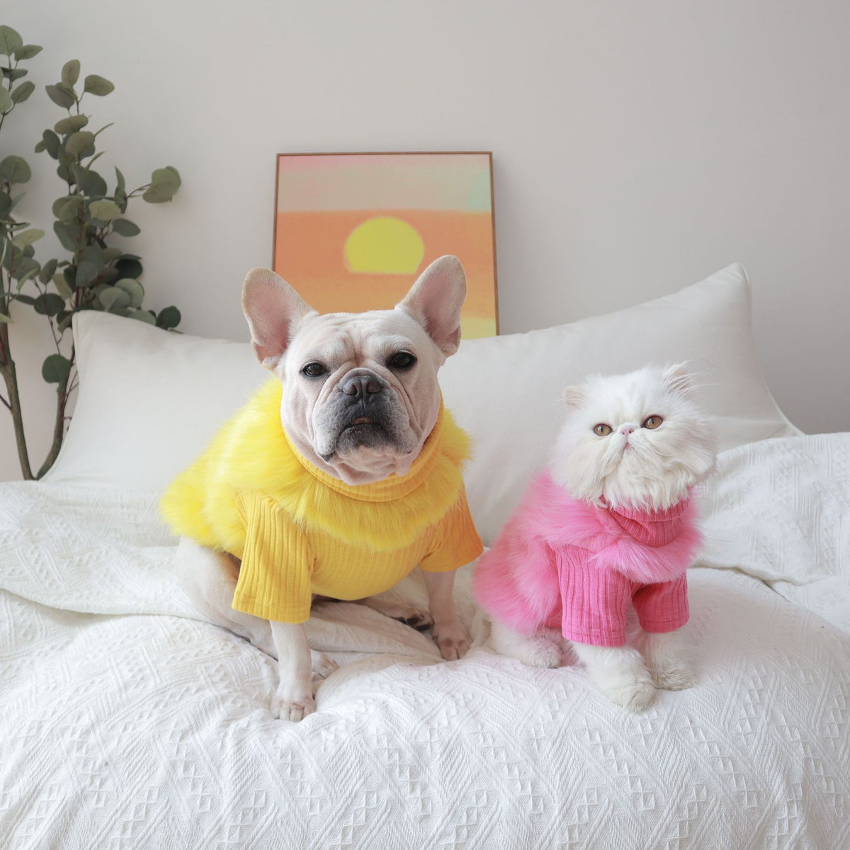 [Last Chance] Luxury Faux Fur Sweater | Instagram Icon ready