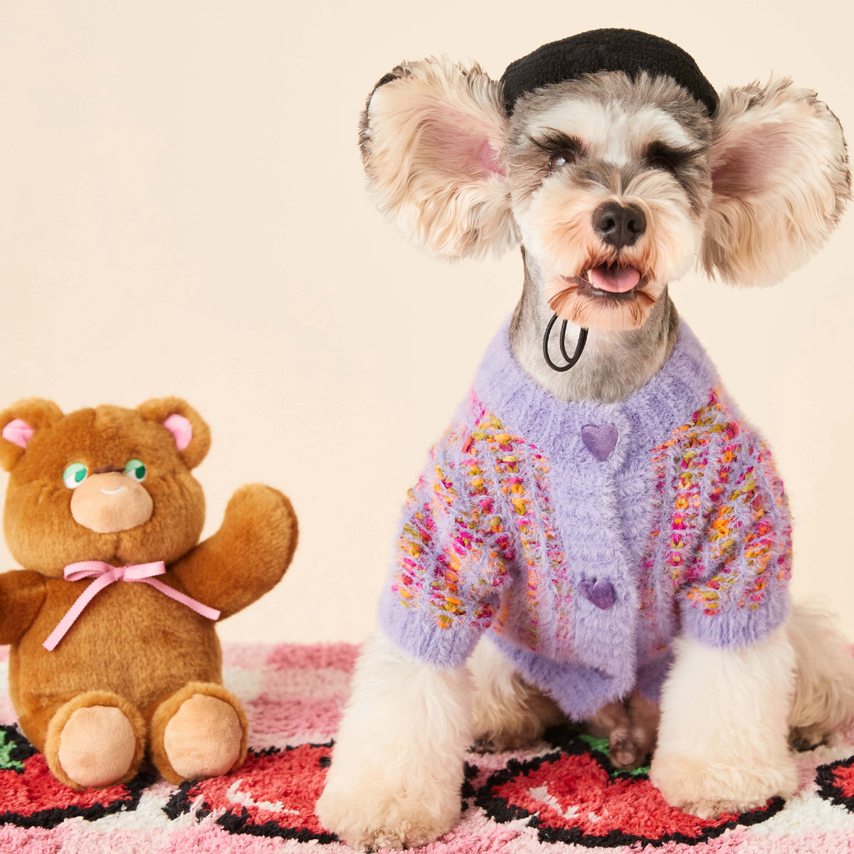 Rainbow Color Pet Cardigan