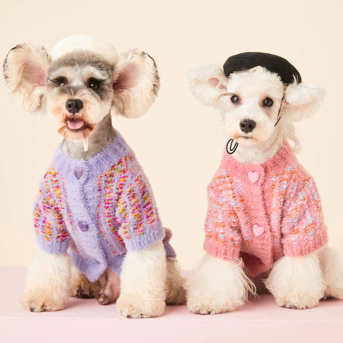 Rainbow Color Pet Cardigan