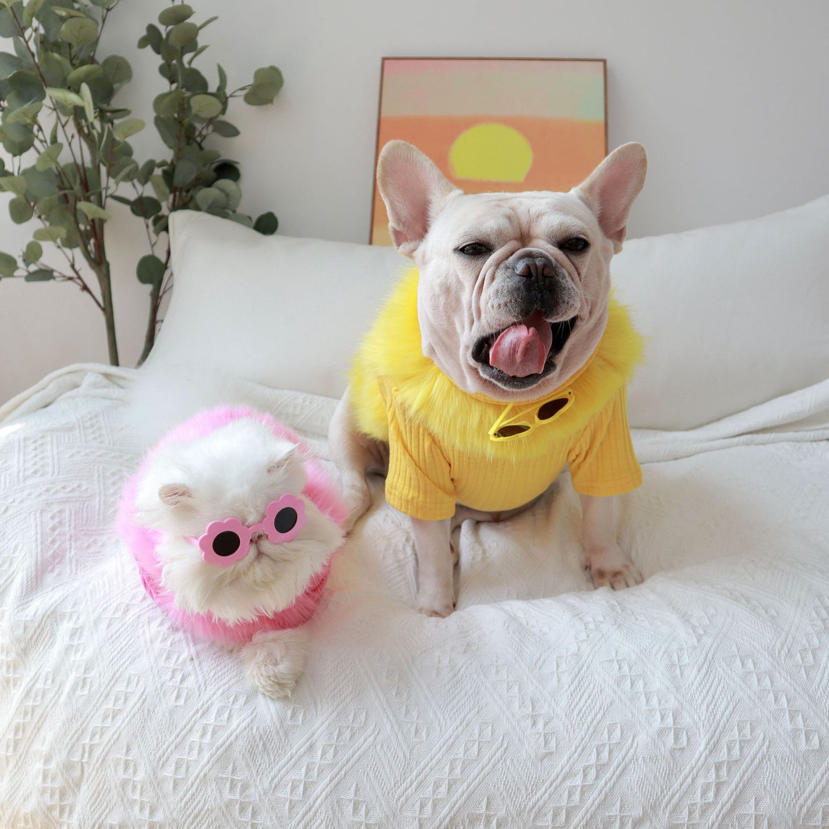 [Last Chance] Luxury Faux Fur Sweater | Instagram Icon ready