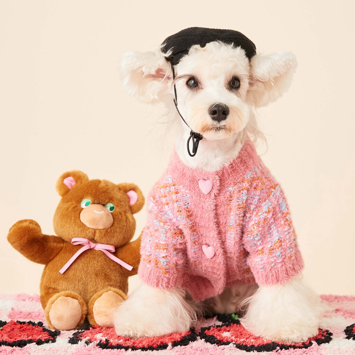 Rainbow Color Pet Cardigan