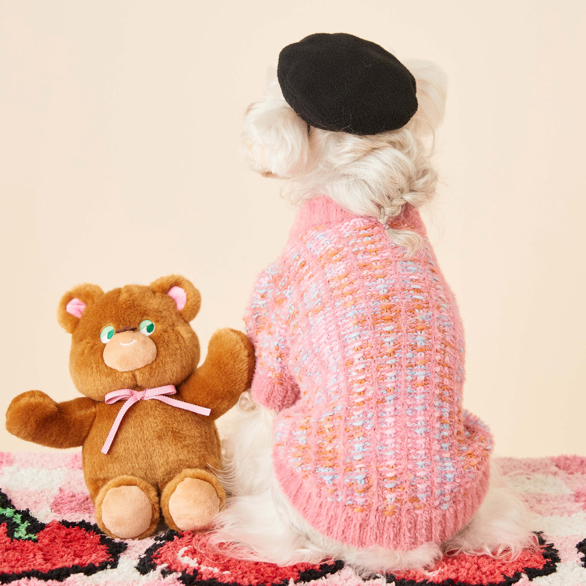 Rainbow Color Pet Cardigan